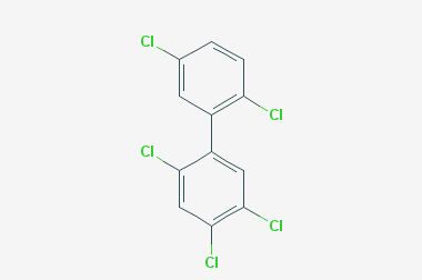 異辛烷/甲苯中PCB101標(biāo)準(zhǔn)溶液,PCB No 101 solution