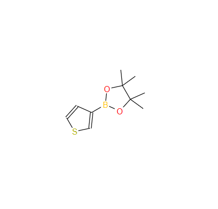 噻吩-3-硼酸频哪醇酯,Thiophene-3-boronic acid pinacol ester