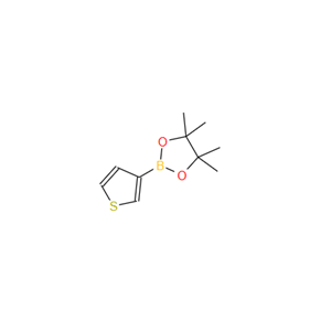 噻吩-3-硼酸频哪醇酯；214360-70-0
