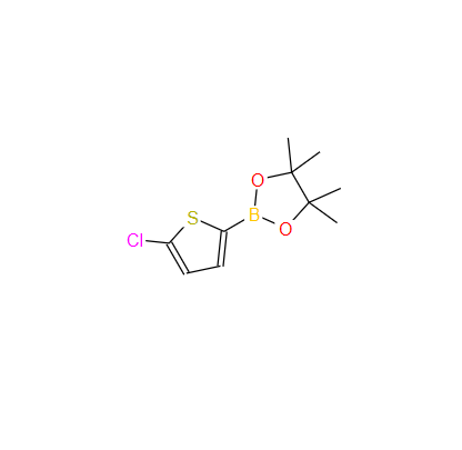 5-氯噻吩-2-硼酸頻哪醇酯,5-CHLOROTHIOPHENE-2-BORONIC ACID PINACOL ESTER