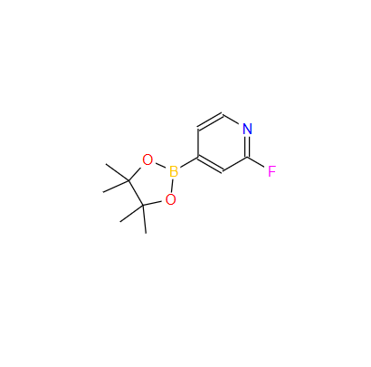 2-氟吡啶-4-硼酸频哪酯,2-FLUOROPYRIDINE-4-BORONIC ACID PINACOL ESTER