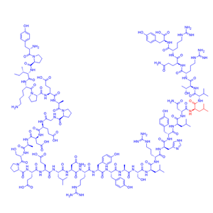 同位素肽YY/106388-42-5/Peptide YY (30Leu-13C6,15N)