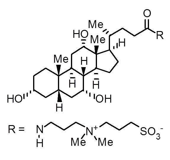 3-[(3-Cholamidopropyl)-dimethylammonio]-1-propane sulfonate