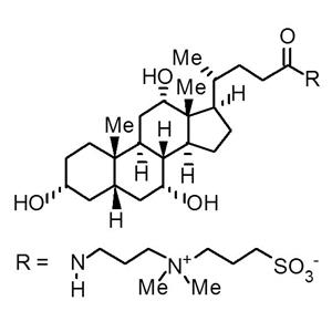 3-[(3-Cholamidopropyl)-dimethylammonio]-1-propane sulfonate