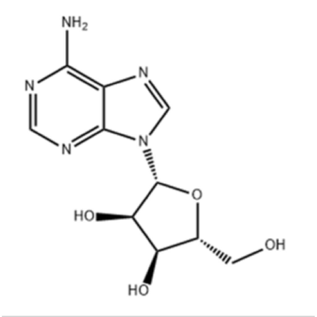 腺苷,Adenosine