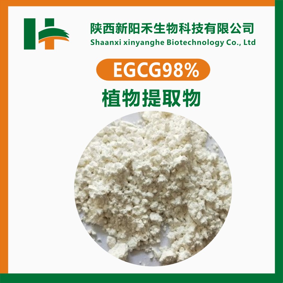 (-)-表没食子儿茶素没食子酸酯(EGCG),EGCG