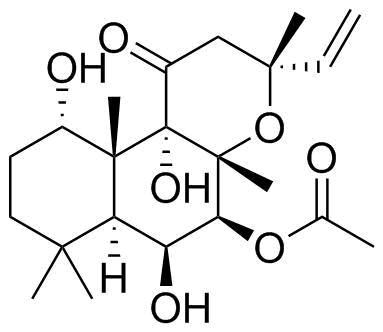 佛司可林,Forskolin