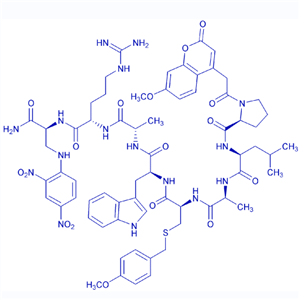 MMP-14荧光底物肽/1926163-82-7/鸿肽生物多肽合成