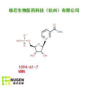 β-烟酰胺单核苷酸NMN,NMN