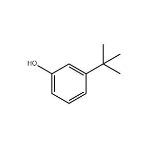 间叔丁基苯酚,3-tert-Butylphenol