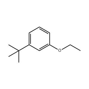 间叔丁基苯乙醚,3-tert-butylphenylethylether