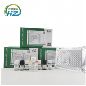 RAI14试剂盒人Ankycorbin锚定蛋白(RAI14)ELISA检测试剂盒