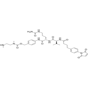 Mal-Phe-C4-Val-Cit-PAB-DMEA
