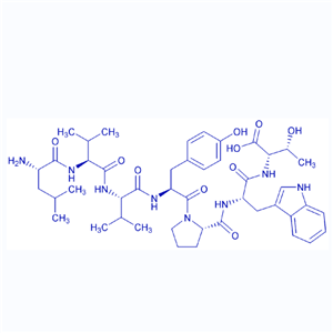 内源性多肽Spinorphin/137201-62-8/鸿肽生物多肽合成