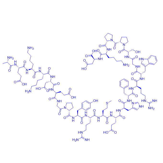 β促黑素β-MSH, human,β-MSH (human)