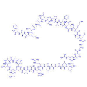 β-降钙素肽，人源/101462-82-2/98824-26-1/β-CGRP, human
