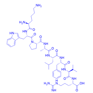 激动剂多肽P8RI/2147724-76-1/鸿肽生物多肽合成