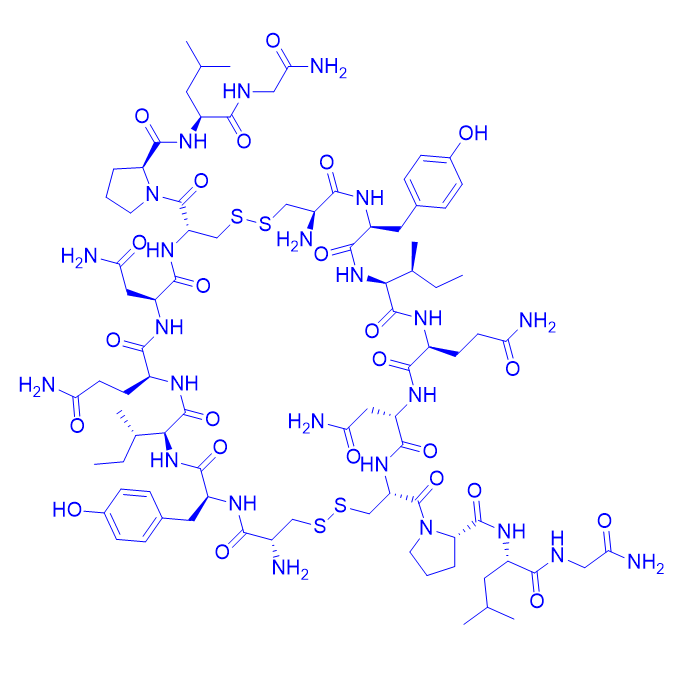 β-缩宫素二聚体,Antiparallel dimer oxytocin