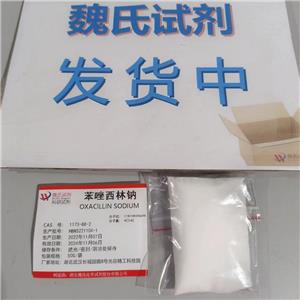 苯唑西林钠—1173-88-2