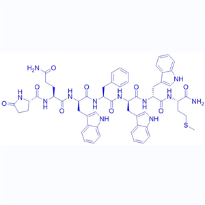 G蛋白拮抗剂多肽143675-79-0 G-Protein antagonist peptide