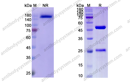 阿利鲁单抗,Research Grade Abrilumab(DHC98804)