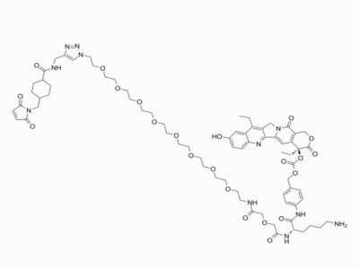 CL2A-SN-38,CL2A-SN-38