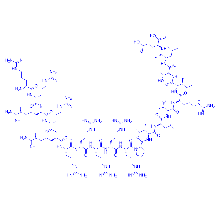 抑制剂多肽ReACp53,ReACp53