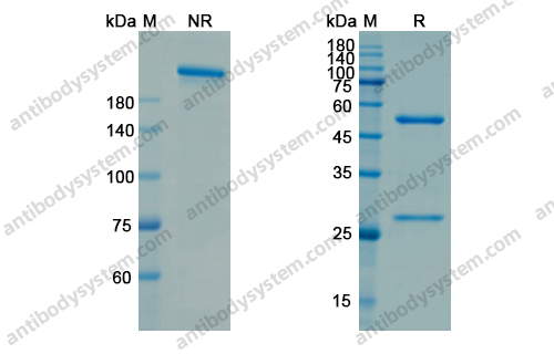 Atibuclimab,Research Grade Atibuclimab(DHC33701)