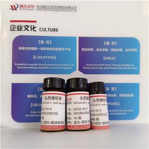 头孢磺啶钠,Cefsulodine sodium