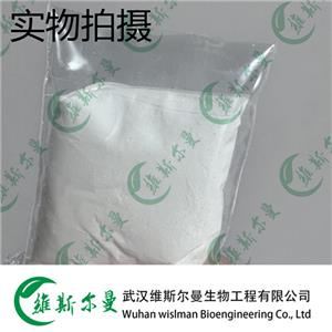 盐酸肼屈嗪 304-20-1 维斯尔曼生物高纯试剂 13419635609