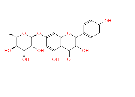 山奈酚-7-O-鼠李糖苷,KaeMpferol 7-O-rhaMnoside