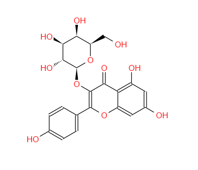 三叶豆苷,kaempferol-3-O-galactoside