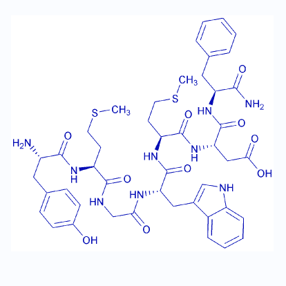 胆囊收缩素2-8,Cholecystokinin Octapeptide (2-8) (desulfated)