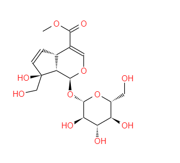 山栀子苷B,SHANZHISIDE METHYL ESTER