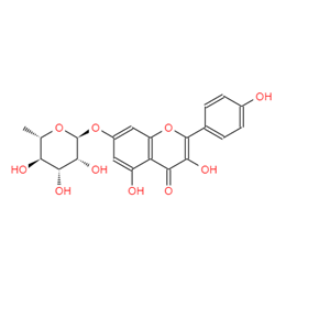 山奈酚-7-O-鼠李糖苷 20196-89-8