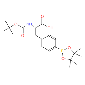 Boc-4-频哪醇硼酸酯-L-苯丙氨酸,(S)-2-((tert-Butoxycarbonyl)amino)-3-(4-(4,4,5,5-tetramethyl-1,3,2-dioxaborolan-2-yl)phenyl)propanoicacid