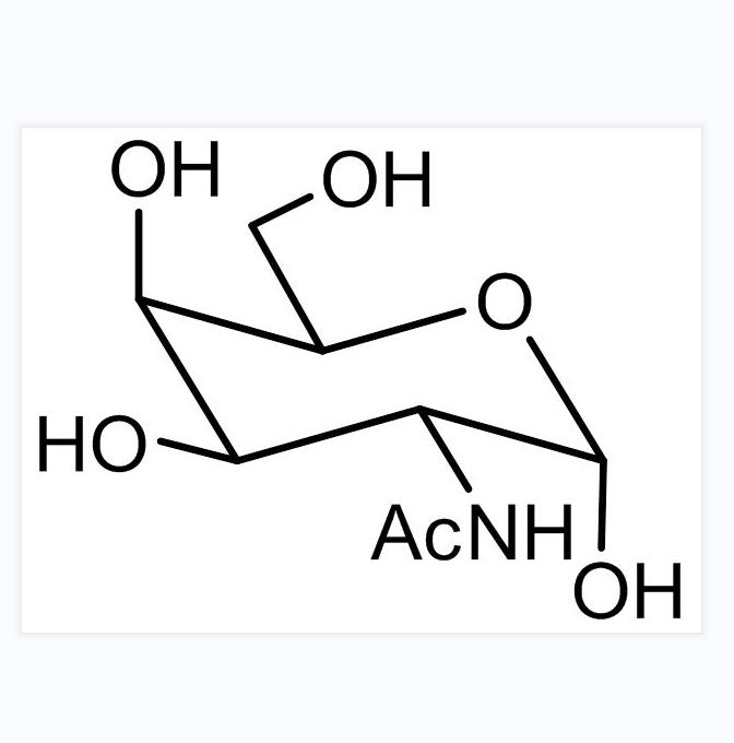 N-Acetyl-D-galactosamine  (2-Acetamido-2-deoxy-D-galactose, GalNAc)