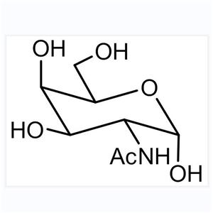 N-Acetyl-D-glucosamine  (2-Acetamido-2-deoxy-D-glucose, GlcNAc)