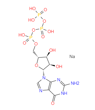 鸟苷-5'-三磷酸,Guanosine 5'-triphosphate trisodium salt
