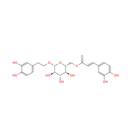 木通苯乙醇苷 B,Desrhamnosyl isoacteoside