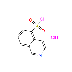 异喹啉-5-磺酰氯盐酸盐,Isoquinoline-5-sulphonyl chloride hydrochloride