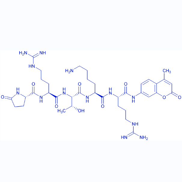 熒光底物肽Pyr-RTKR-AMC,Pyr-Arg-Thr-Lys-Arg-AMC