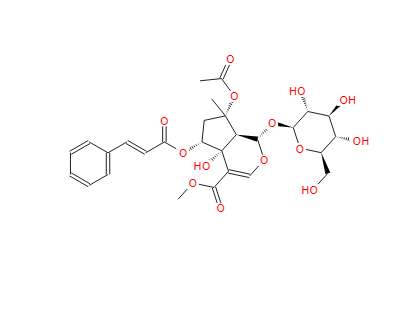 6-O-trans-Cinnamoylphlorigidoside B,6-O-trans-Cinnamoylphlorigidoside B