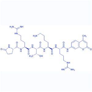 荧光底物肽Pyr-RTKR-AMC/1255501-99-5（TFA）/155575-02-3