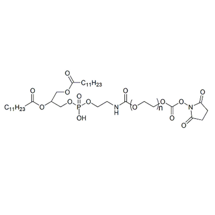 二月桂酰基磷脂酰乙醇胺-聚乙二醇-琥珀酰亚胺酯,DLPE-PEG-NHS