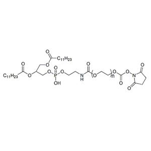 DLPE-PEG-NHS，二月桂?；字Ｒ掖及?聚乙二醇-琥珀酰亞胺酯