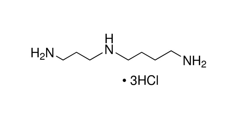 亚精胺盐酸盐,Spermidine trihydrochloride