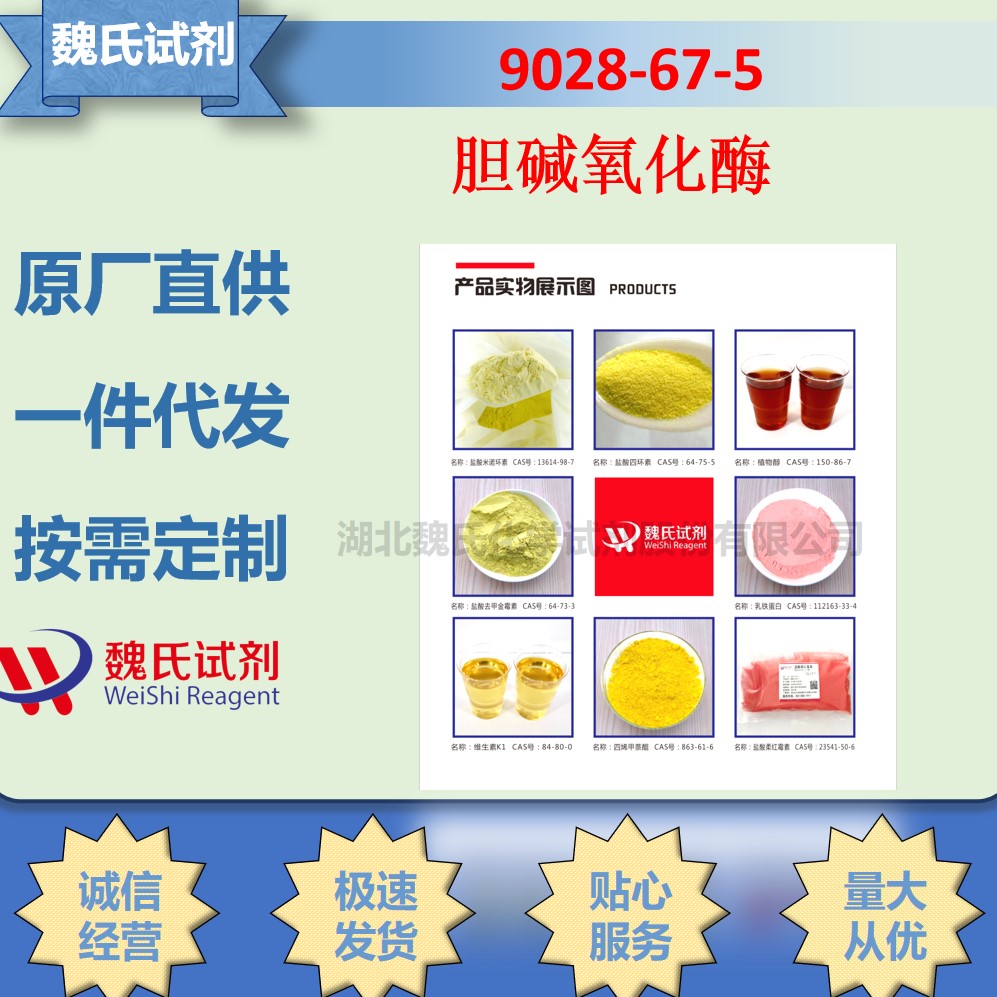 胆碱氧化酶,Choline oxidase