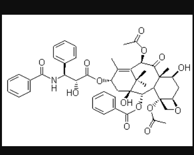 紫杉醇,Paclitaxel