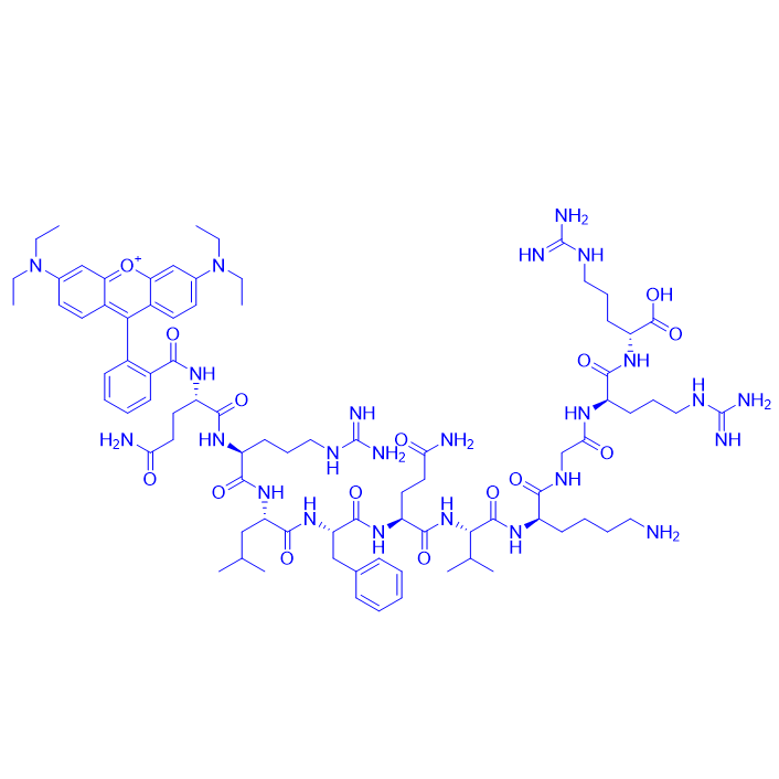 甲酰肽受体 2 (FPR2) 拮抗剂多肽,PBP 10